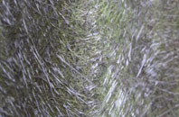 Lower Hacheston fibreglass roof work